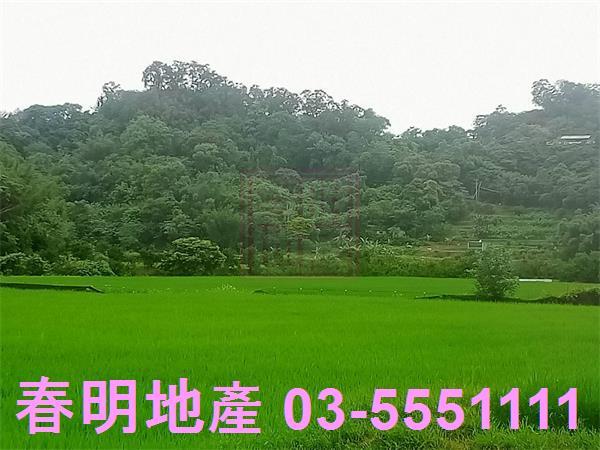 新竹農地-1