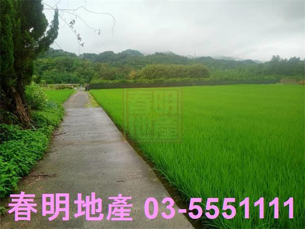 新竹農地-6