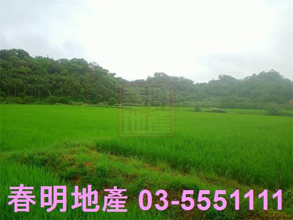 新竹農地-7