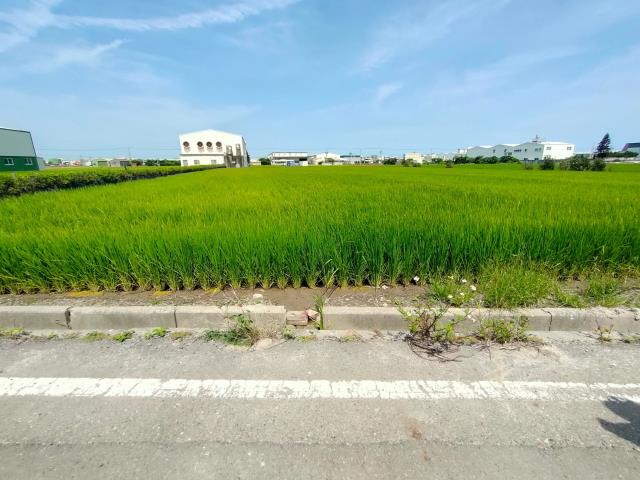 鹿港農地-9