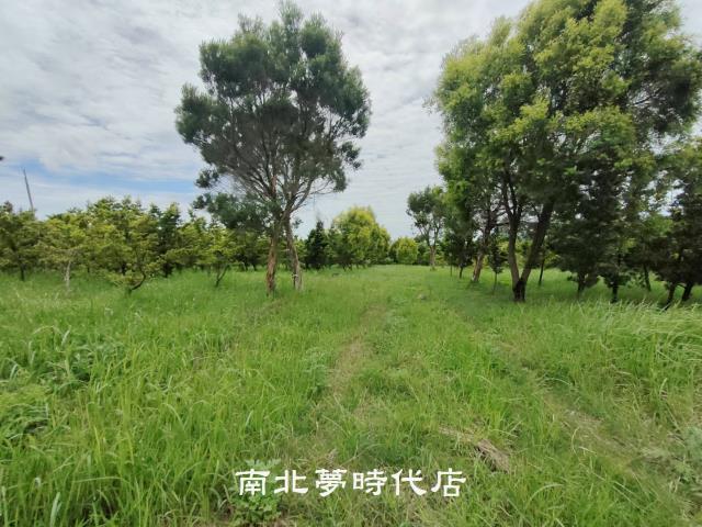 台南六甲農地-12