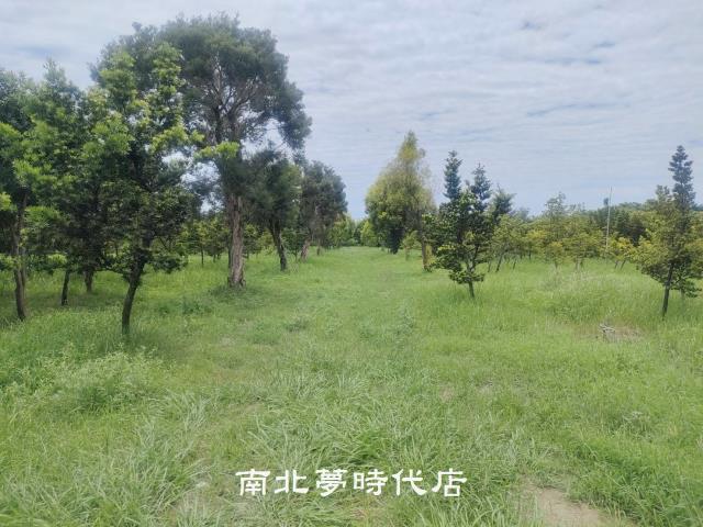 台南六甲農地-4