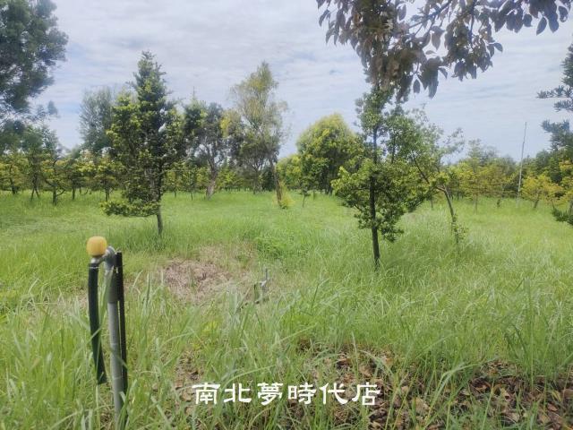 台南六甲農地-5