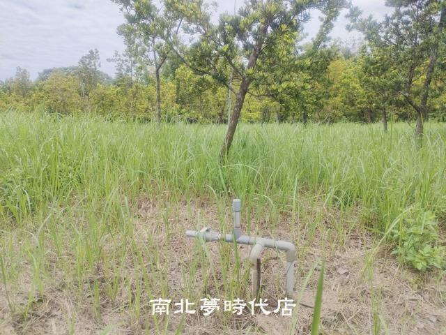 台南六甲農地-6
