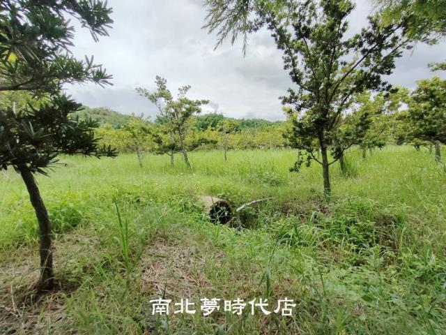 台南六甲農地-9