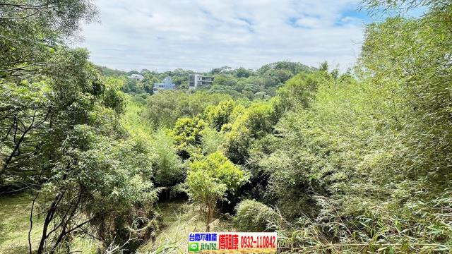 新竹農地-6