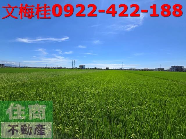 宜蘭宜蘭市農地-1