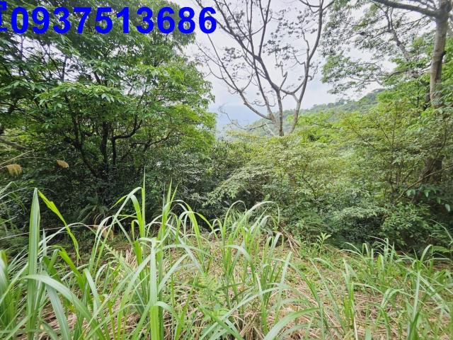 宜蘭大同原住民保留地-7