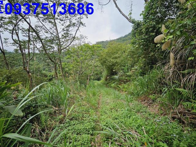 宜蘭大同原住民保留地-9