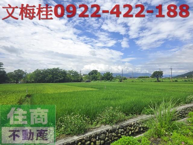 員山農地-1