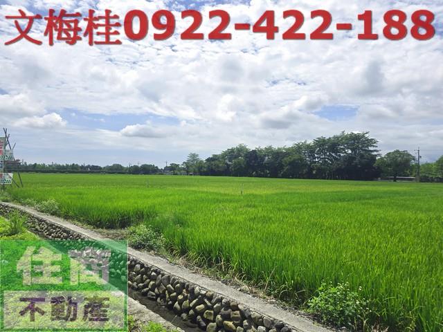 員山農地-4