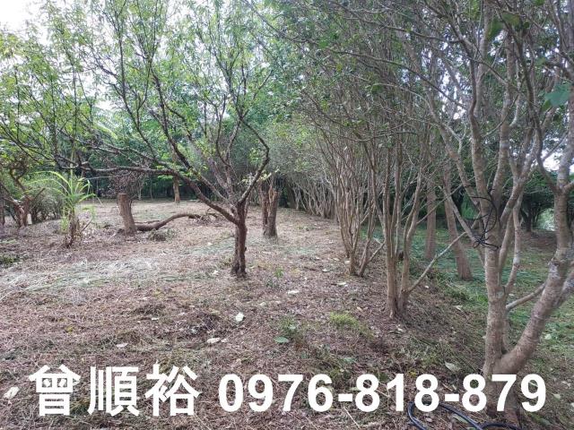 新竹橫山農地-10