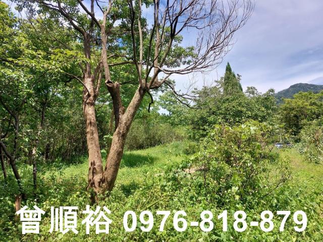新竹橫山農地-4