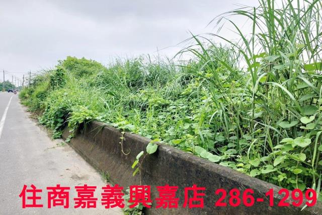 台南建地-2