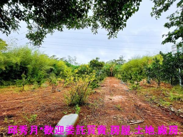淡水都市計畫內-7