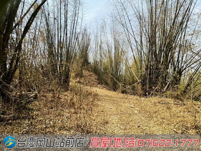 田寮農地-9