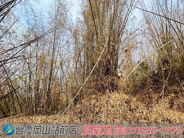田寮農地-10