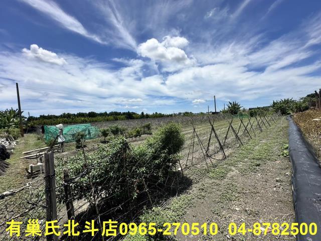 彰化溪湖農地-4