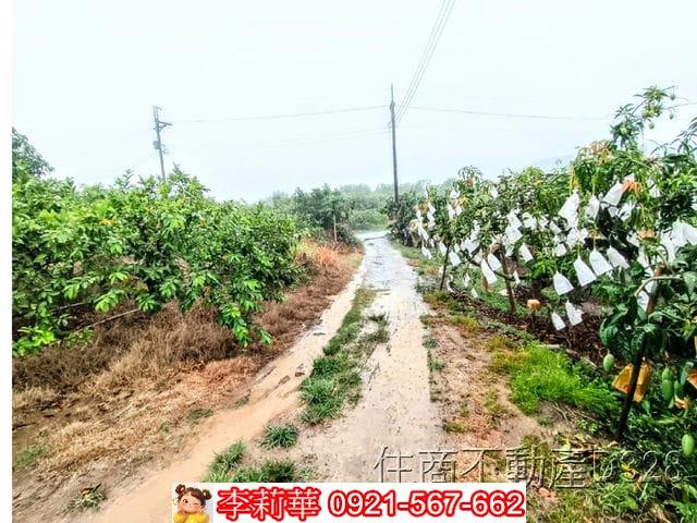 台南楠西農地-6