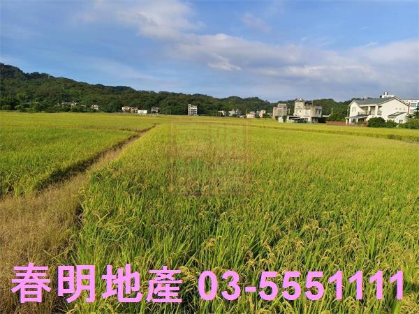 芎林農地-11