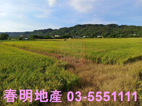 芎林農地-12