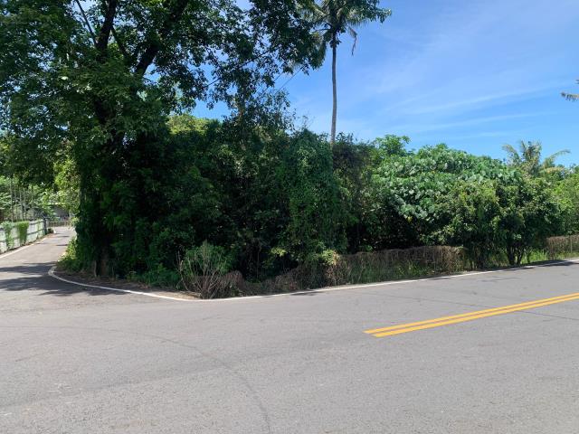 嘉義中埔農地-2