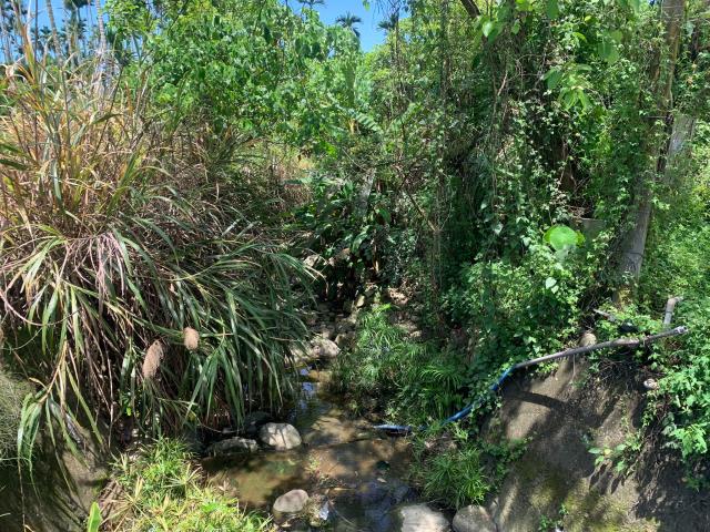 嘉義中埔農地-4