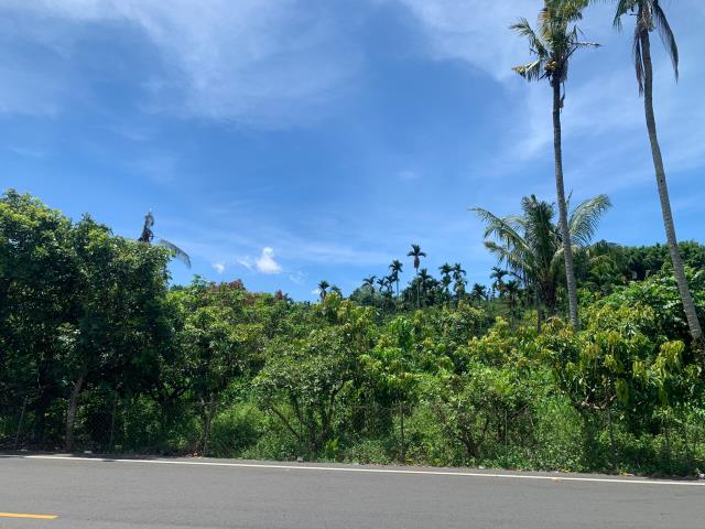 嘉義中埔農地-6