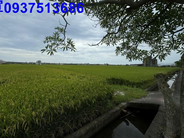 宜蘭農地-6
