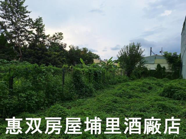 埔里建地-5