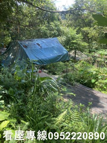 新北三峽山坡地-10