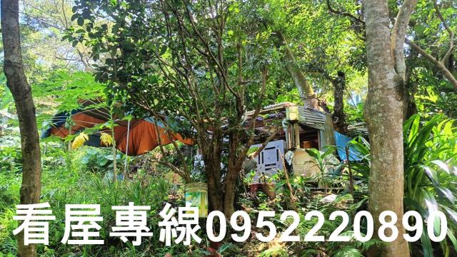 新北三峽山坡地-1