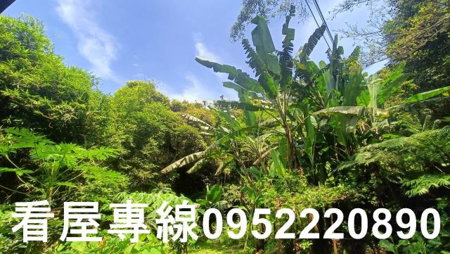 新北三峽山坡地-5