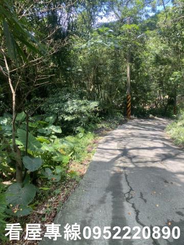 新北三峽山坡地-8