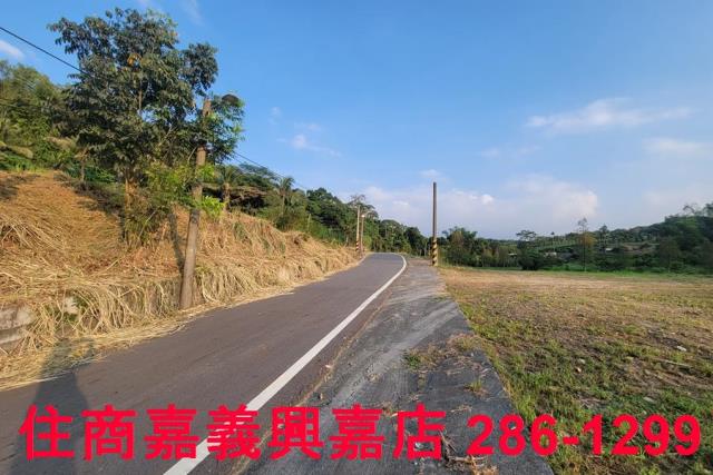 嘉義農地-10