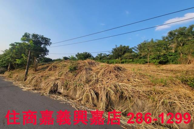 嘉義農地-2