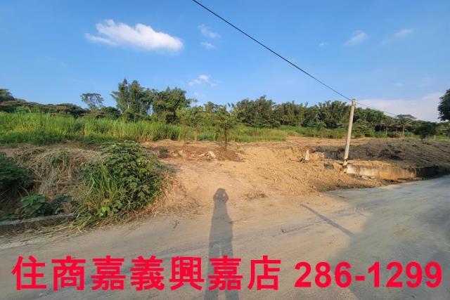 嘉義農地-3