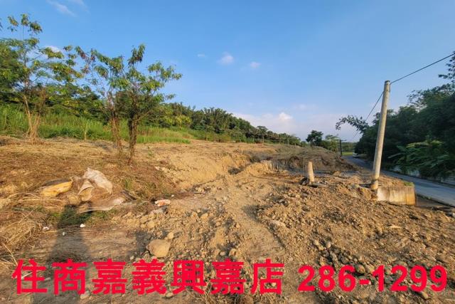 嘉義農地-4