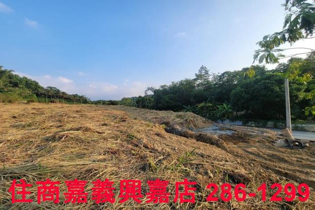 嘉義農地-5