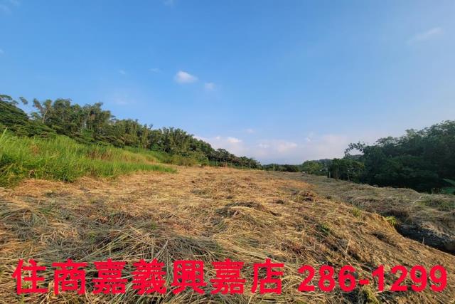 嘉義農地-6