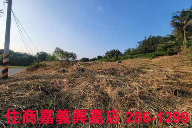 嘉義農地-7