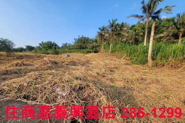 嘉義農地-8