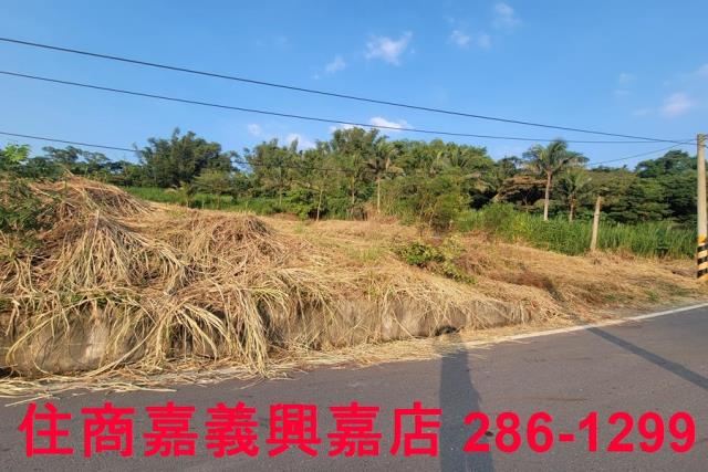 嘉義農地-9
