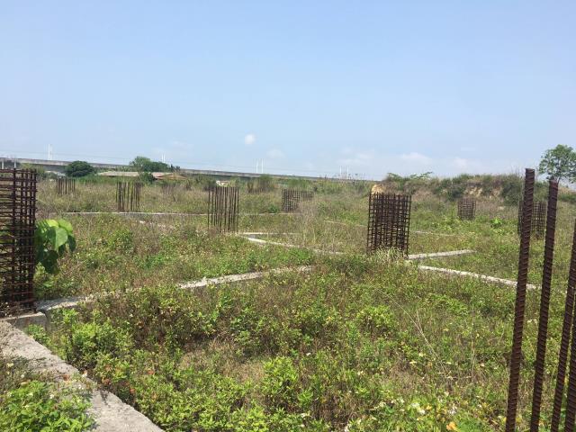 嘉義農地-4