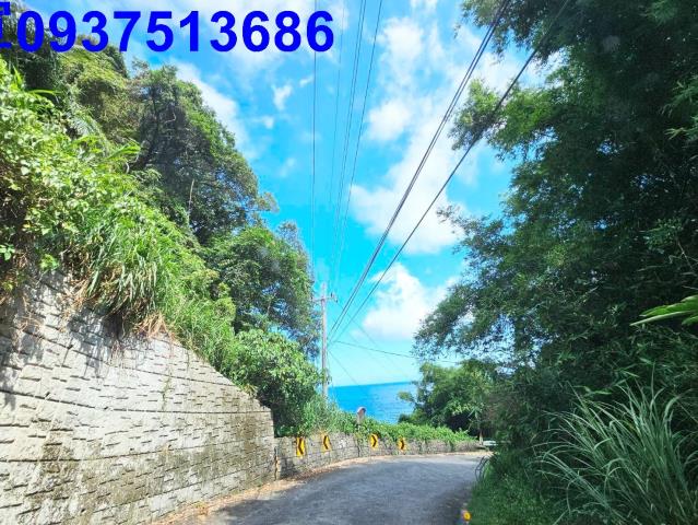 頭城山坡地-12