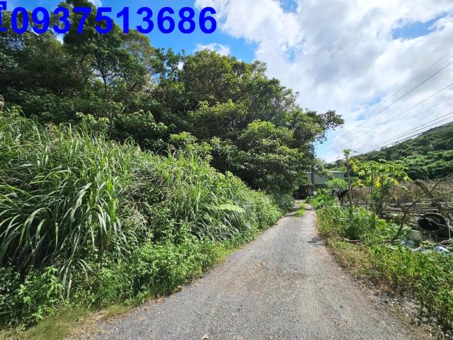 頭城山坡地-15