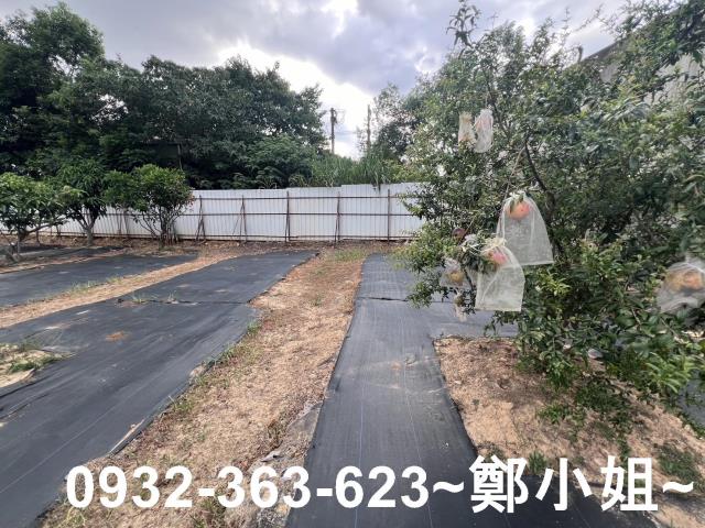 桃園八德農地-11