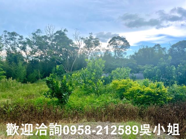 新竹新埔山坡地-2