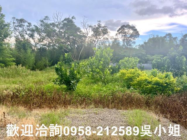 新竹新埔山坡地-3