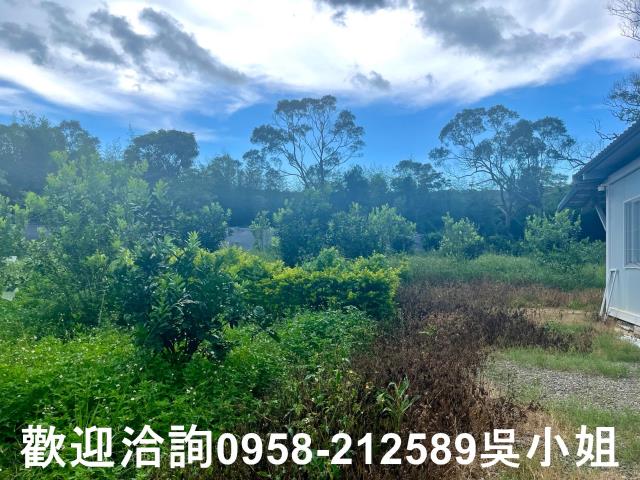 新竹新埔山坡地-4
